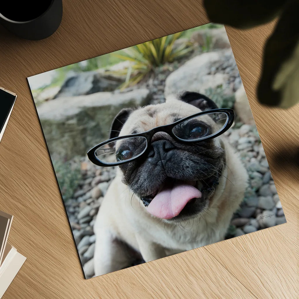 Four Eyes Crop by Jim Dratfield. Shown as a detailed flat fine art print, highlighting archival giclee quality. Available as an archival giclee rolled canvas, fine art paper, or poster print. SKU 41093a.