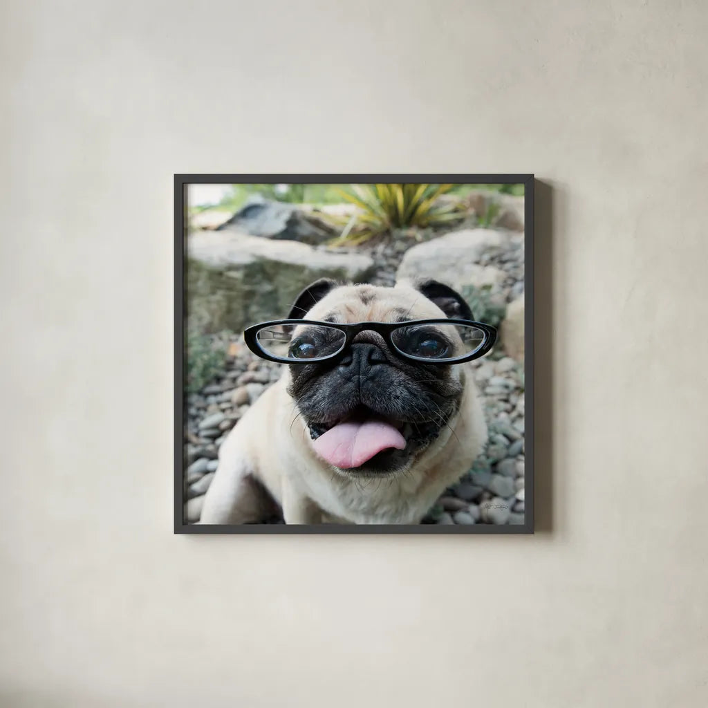 Four Eyes Crop by Jim Dratfield. Shown in a sleek black glass frame for a contemporary gallery look. Available as an archival giclee rolled canvas, fine art paper, or poster print. SKU 41093a.