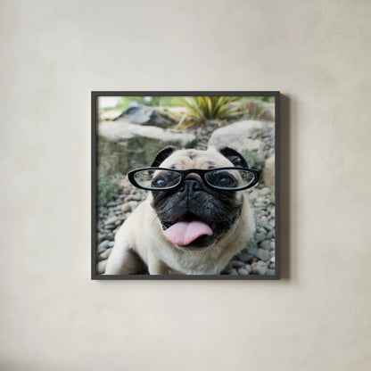 Four Eyes Crop by Jim Dratfield. Shown in a sleek black glass frame for a contemporary gallery look. Available as an archival giclee rolled canvas, fine art paper, or poster print. SKU 41093a.
