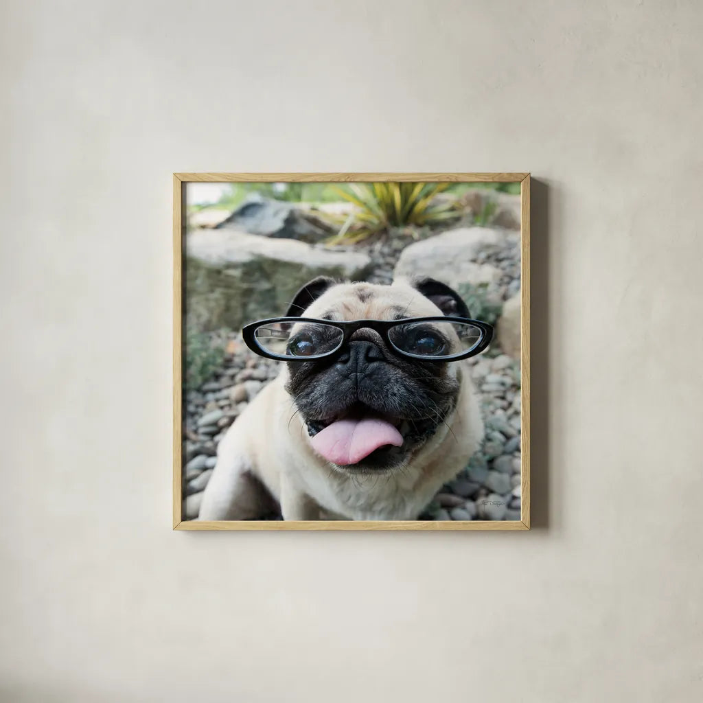 Four Eyes Crop by Jim Dratfield. Shown in a natural wood glass frame for a timeless modern aesthetic. Available as an archival giclee rolled canvas, fine art paper, or poster print. SKU 41093a.