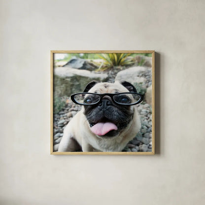 Four Eyes Crop by Jim Dratfield. Shown in a natural wood glass frame for a timeless modern aesthetic. Available as an archival giclee rolled canvas, fine art paper, or poster print. SKU 41093a.