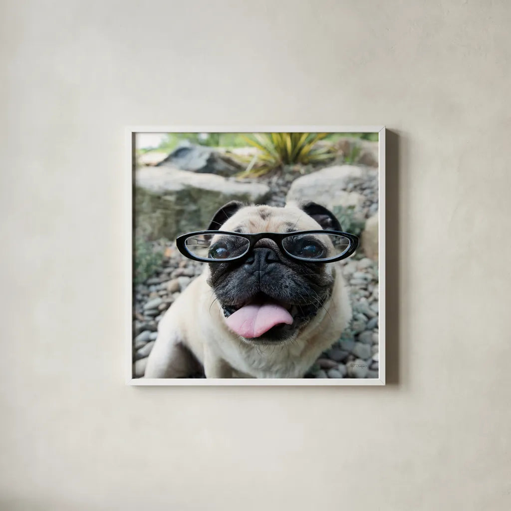 Four Eyes Crop by Jim Dratfield. Shown in a crisp white glass frame for a clean and minimalist style. Available as an archival giclee rolled canvas, fine art paper, or poster print. SKU 41093a.