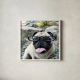 Four Eyes Crop by Jim Dratfield. Shown in a crisp white glass frame for a clean and minimalist style. Available as an archival giclee rolled canvas, fine art paper, or poster print. SKU 41093a.