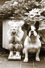 Friends by Jim Dratfield. SKU 25488h. Archival Giclee Fine art print for wall decor.