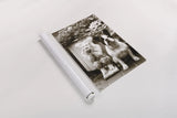 Friends by Jim Dratfield. shown as a rolled paper print. Available as archival giclee rolled canvas, fine art paper, or poster print. SKU 25488h.