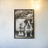 Friends by Jim Dratfield. shown as a paper print in a black flame. Available as a archival giclee rolled canvas, fine art paper, or poster print. SKU 25488h.