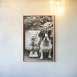 Friends by Jim Dratfield. shown as a paper print in a natural frame. Available as a archival giclee rolled canvas, fine art paper, or poster print. SKU 25488h.