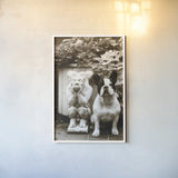Friends by Jim Dratfield. shown as a paper print in a white frame. Available as a archival giclee rolled canvas, fine art paper, or poster print. SKU 25488h.