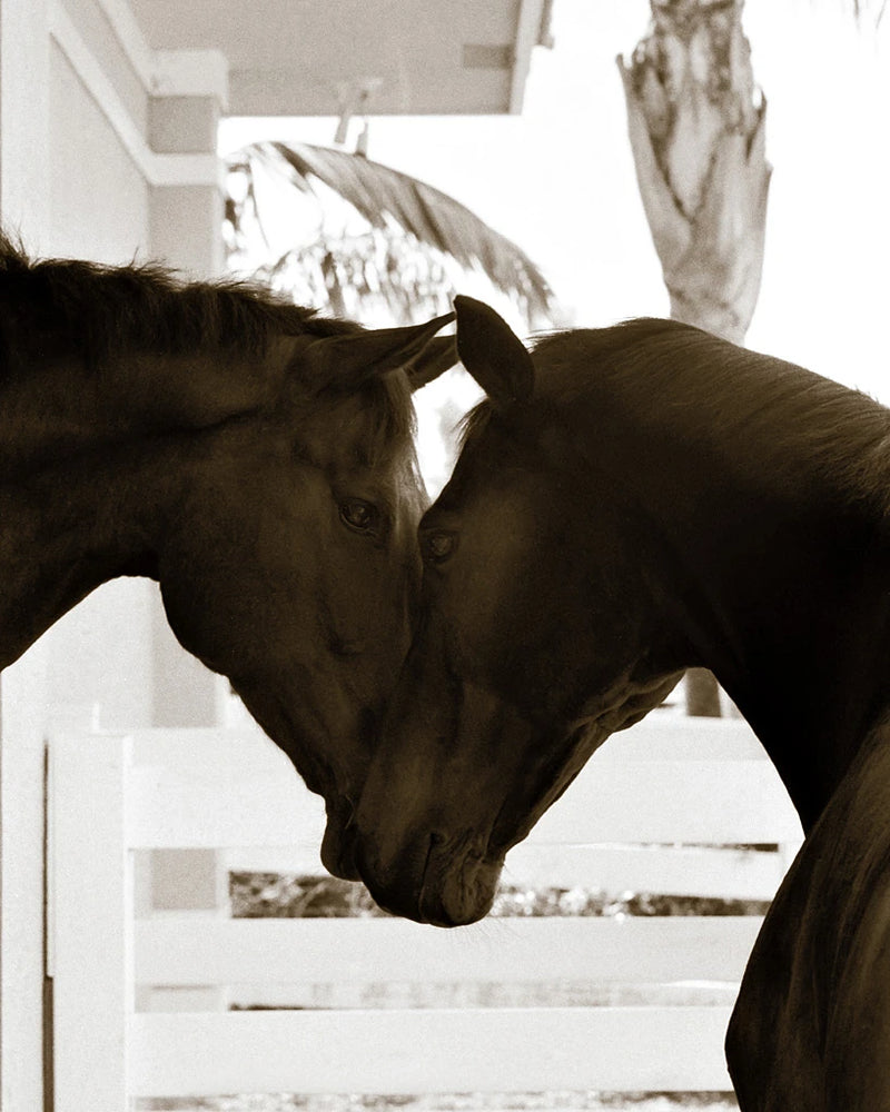Good Friends by Jim Dratfield