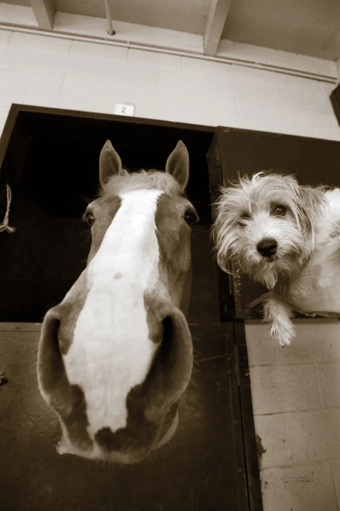 Hanging Out by Jim Dratfield. SKU 25474h. Archival Giclee Fine art print for wall decor.