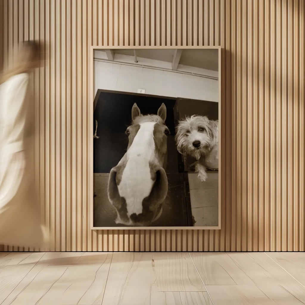 Hanging Out by Jim Dratfield. shown as over sized large wall art. Available as an archival giclee rolled canvas, fine art paper, or poster print. SKU 25474h.