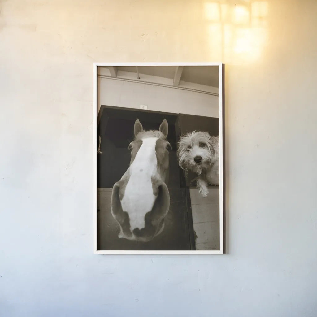 Hanging Out by Jim Dratfield. shown as a paper print in a white frame. Available as a archival giclee rolled canvas, fine art paper, or poster print. SKU 25474h.