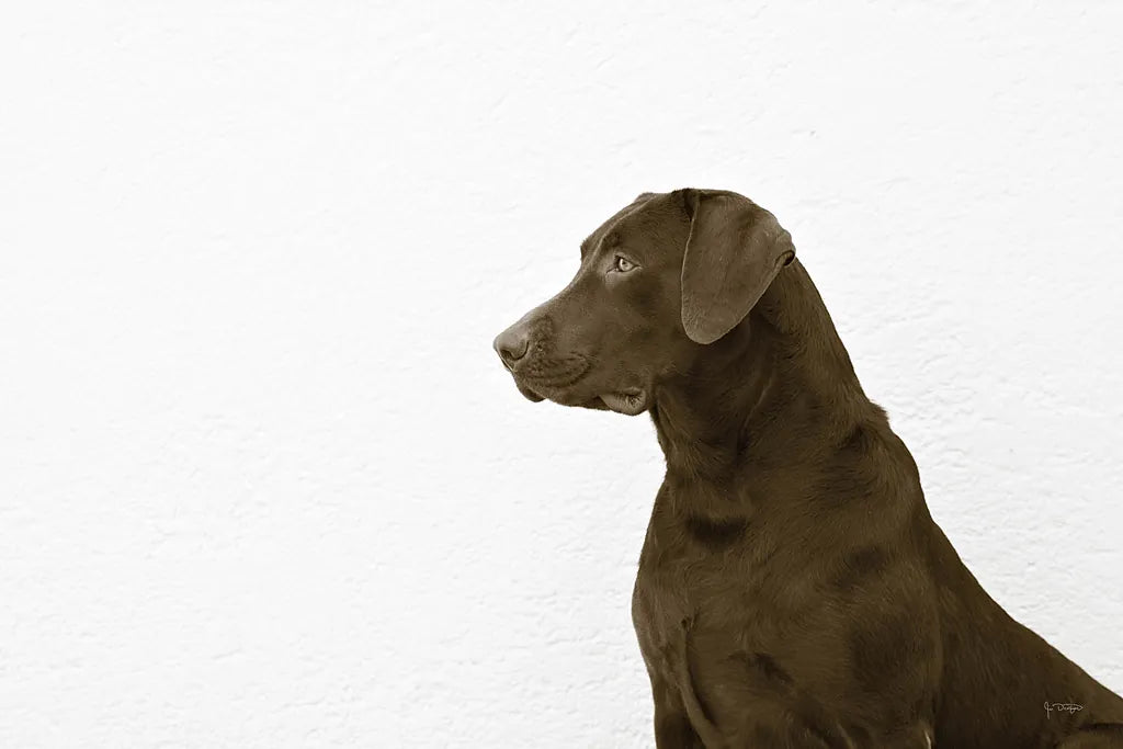 I See You Crop by Jim Dratfield. SKU 25487i. Archival Giclee Fine art print for wall decor.