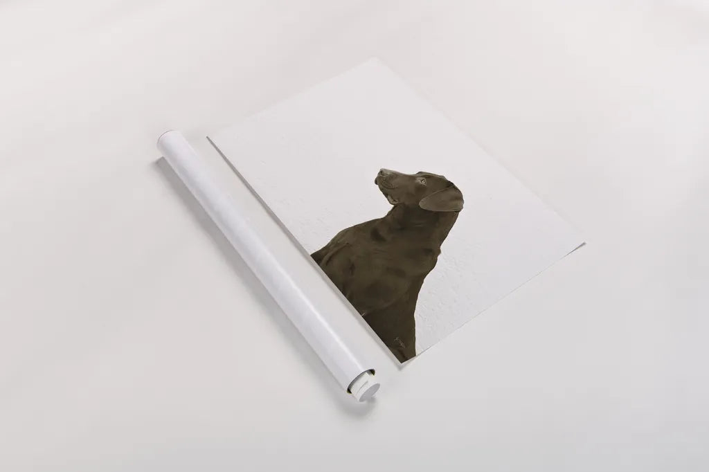 I See You Crop by Jim Dratfield. shown as a rolled paper print. Available as archival giclee rolled canvas, fine art paper, or poster print. SKU 25487i.