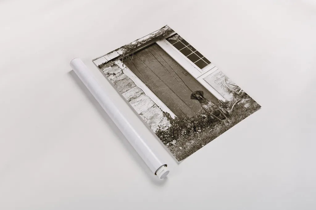 I am Home by Jim Dratfield. shown as a rolled paper print. Available as archival giclee rolled canvas, fine art paper, or poster print. SKU 25486h.