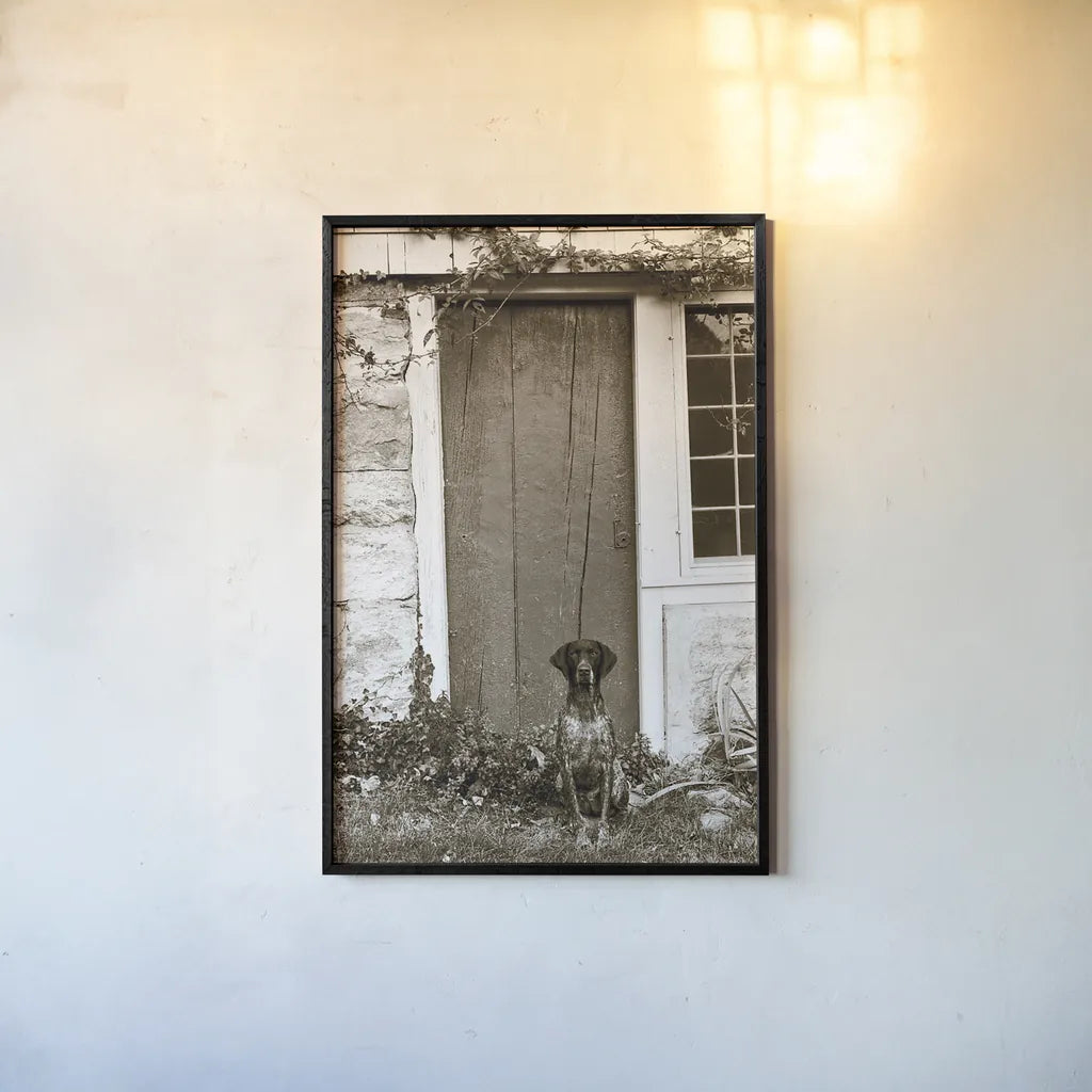 I am Home by Jim Dratfield. shown as a paper print in a black flame. Available as a archival giclee rolled canvas, fine art paper, or poster print. SKU 25486h.