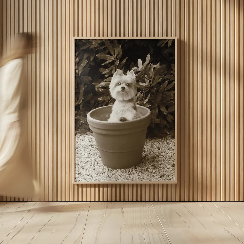 In the Garden by Jim Dratfield. shown as over sized large wall art. Available as an archival giclee rolled canvas, fine art paper, or poster print. SKU 25485h.