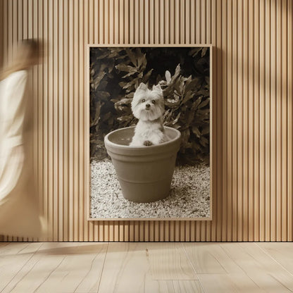 In the Garden by Jim Dratfield. shown as over sized large wall art. Available as an archival giclee rolled canvas, fine art paper, or poster print. SKU 25485h.