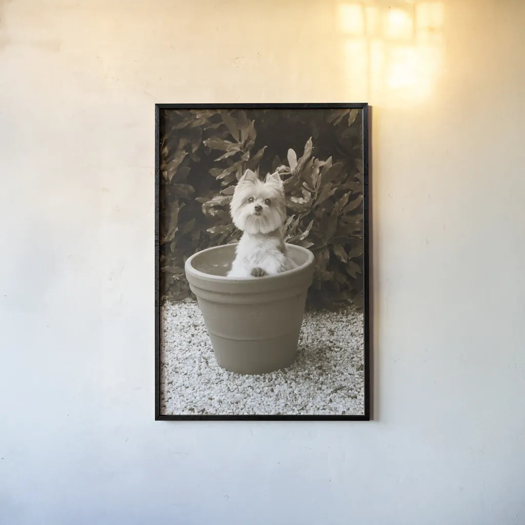 In the Garden by Jim Dratfield. shown as a paper print in a black flame. Available as a archival giclee rolled canvas, fine art paper, or poster print. SKU 25485h.