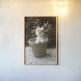 In the Garden by Jim Dratfield. shown as a paper print in a natural frame. Available as a archival giclee rolled canvas, fine art paper, or poster print. SKU 25485h.