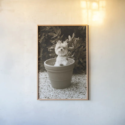 In the Garden by Jim Dratfield. shown as a paper print in a natural frame. Available as a archival giclee rolled canvas, fine art paper, or poster print. SKU 25485h.