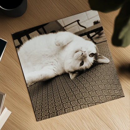 Kitty II Crop by Jim Dratfield. Shown as a detailed flat fine art print, highlighting archival giclee quality. Available as an archival giclee rolled canvas, fine art paper, or poster print. SKU 19692a.