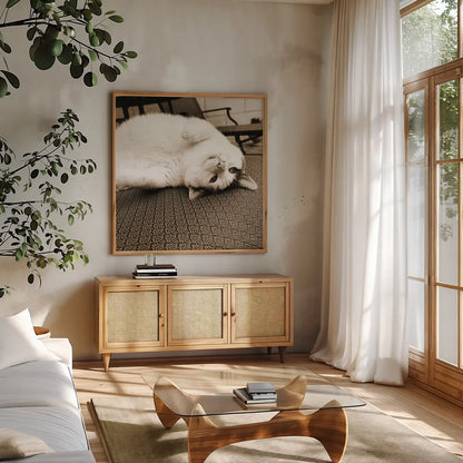 Kitty II Crop by Jim Dratfield. Shown in a natural wood frame in a cozy modern living room. Available as an archival giclee rolled canvas, fine art paper, or poster print. SKU 19692a.