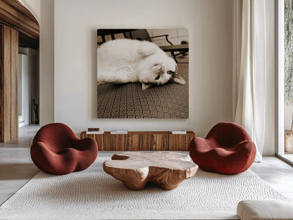 Kitty II Crop by Jim Dratfield. Shown as extra-large giant wall art in a modern living room. Available as an archival giclee rolled canvas, fine art paper, or poster print. SKU 19692a.