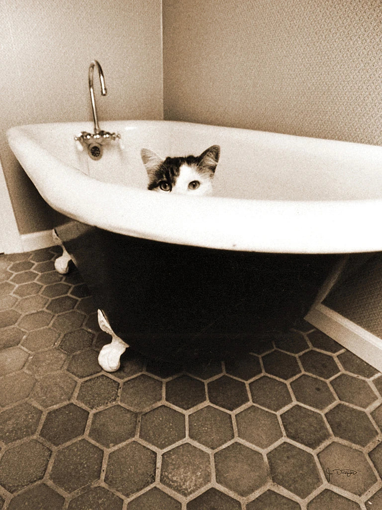 Kitty III by Jim Dratfield