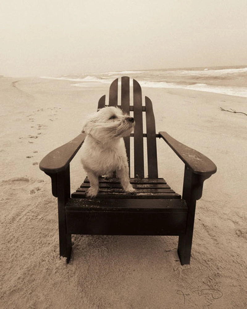 Life's a beach by Jim Dratfield