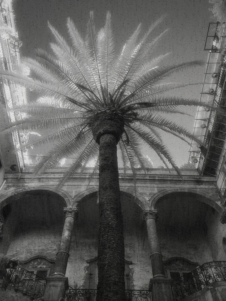 Palermo by Jim Dratfield