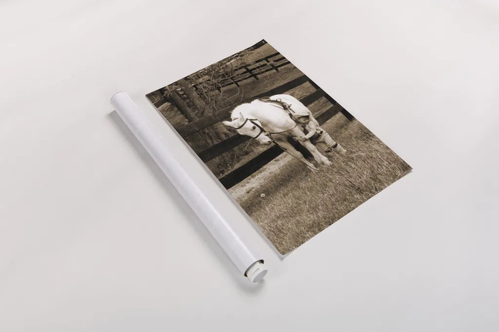 Pony Boy by Jim Dratfield. shown as a rolled paper print. Available as archival giclee rolled canvas, fine art paper, or poster print. SKU 16972h.