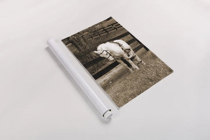 Pony Boy by Jim Dratfield. shown as a rolled paper print. Available as archival giclee rolled canvas, fine art paper, or poster print. SKU 16972h.