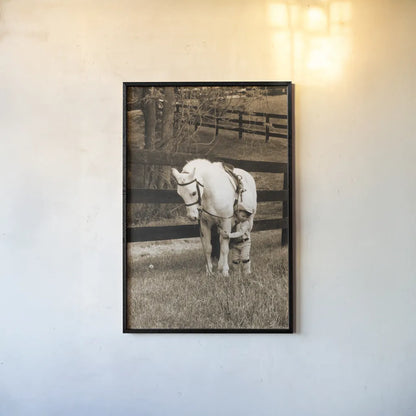 Pony Boy by Jim Dratfield. shown as a paper print in a black flame. Available as a archival giclee rolled canvas, fine art paper, or poster print. SKU 16972h.