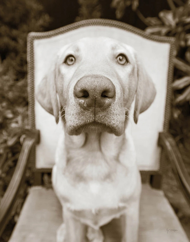 Sitting by Jim Dratfield