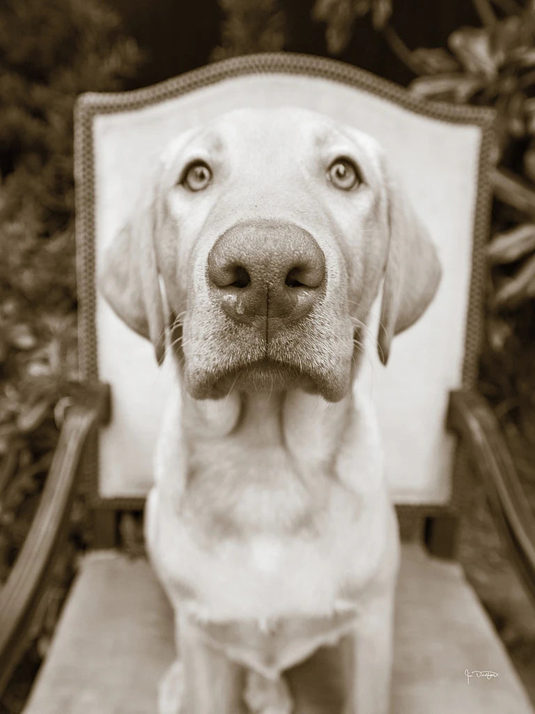 Sitting by Jim Dratfield