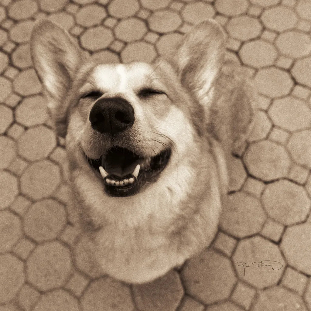 Smile and The World Smiles with You Crop by Jim Dratfield. SKU 9295a. Archival Giclee Fine art print for wall decor.