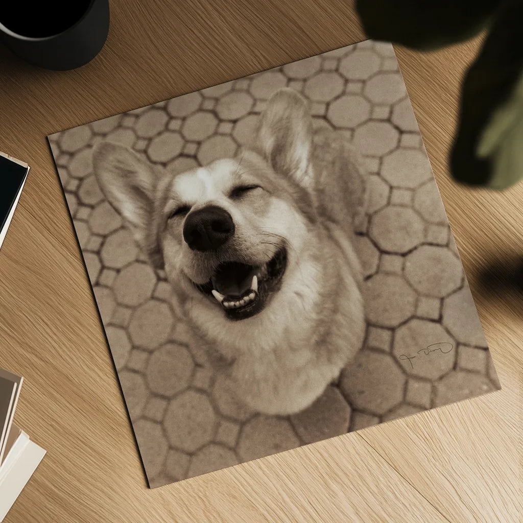 Smile and The World Smiles with You Crop by Jim Dratfield. Shown as a detailed flat fine art print, highlighting archival giclee quality. Available as an archival giclee rolled canvas, fine art paper, or poster print. SKU 9295a.