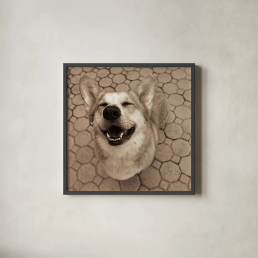 Smile and The World Smiles with You Crop by Jim Dratfield. Shown in a sleek black glass frame for a contemporary gallery look. Available as an archival giclee rolled canvas, fine art paper, or poster print. SKU 9295a.