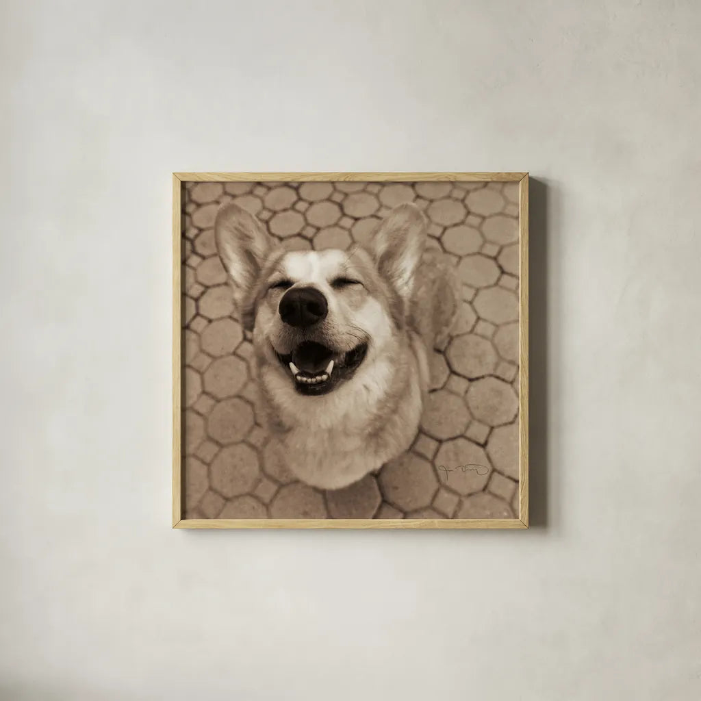 Smile and The World Smiles with You Crop by Jim Dratfield. Shown in a natural wood glass frame for a timeless modern aesthetic. Available as an archival giclee rolled canvas, fine art paper, or poster print. SKU 9295a.