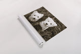 Such Cuties by Jim Dratfield. shown as a rolled paper print. Available as archival giclee rolled canvas, fine art paper, or poster print. SKU 25483i.
