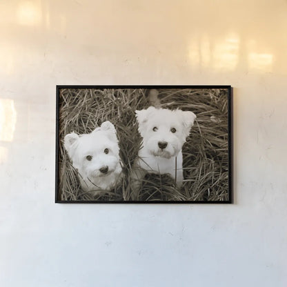 Such Cuties by Jim Dratfield. shown as a paper print in a black flame. Available as a archival giclee rolled canvas, fine art paper, or poster print. SKU 25483i.
