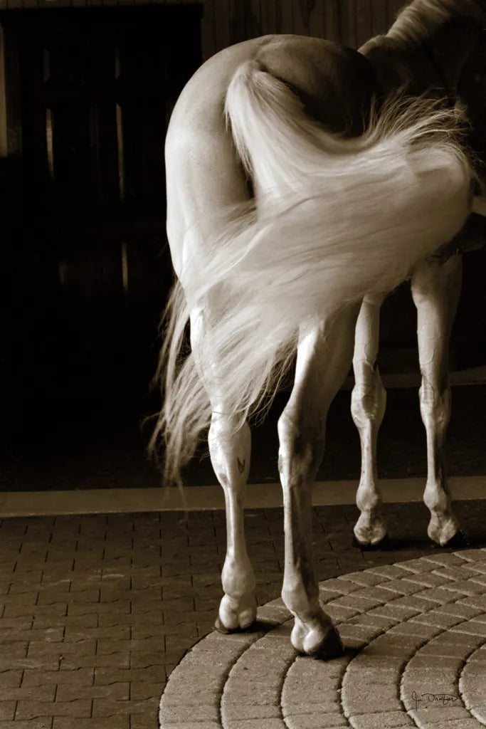 Swoosh by Jim Dratfield. SKU 25473h. Archival Giclee Fine art print for wall decor.