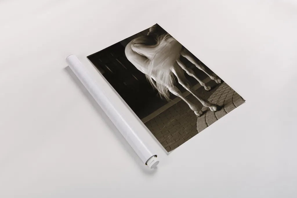 Swoosh by Jim Dratfield. shown as a rolled paper print. Available as archival giclee rolled canvas, fine art paper, or poster print. SKU 25473h.