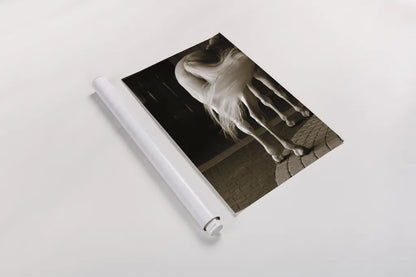 Swoosh by Jim Dratfield. shown as a rolled paper print. Available as archival giclee rolled canvas, fine art paper, or poster print. SKU 25473h.