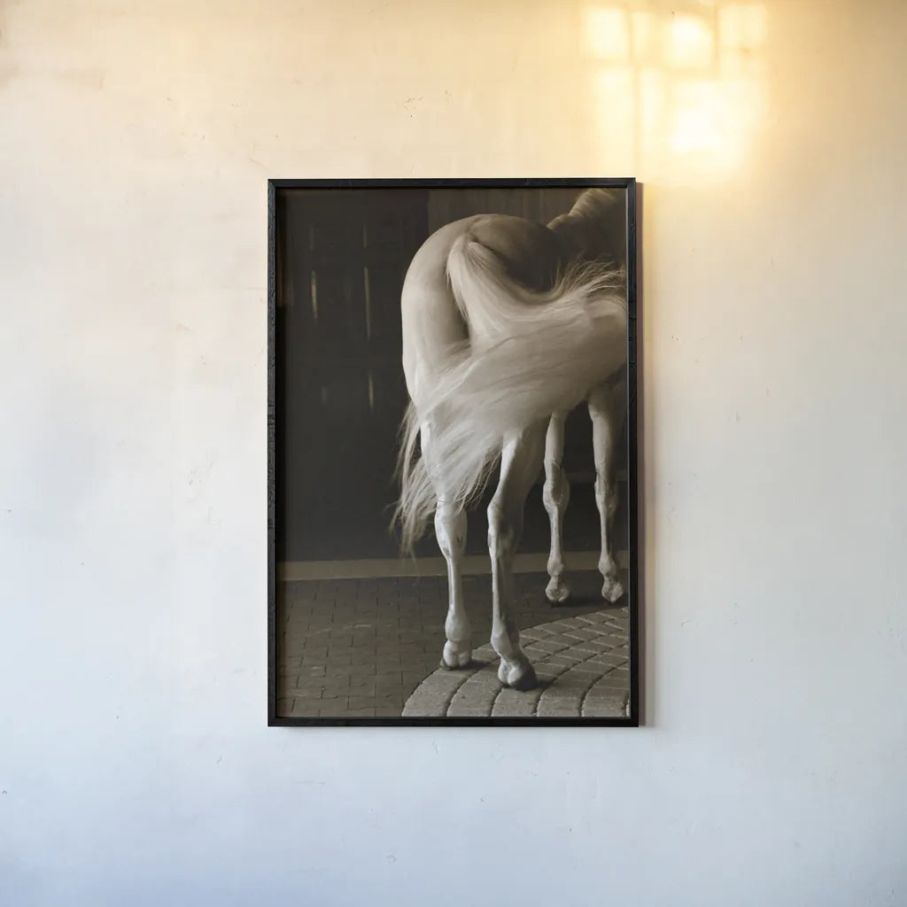 Swoosh by Jim Dratfield. shown as a paper print in a black flame. Available as a archival giclee rolled canvas, fine art paper, or poster print. SKU 25473h.