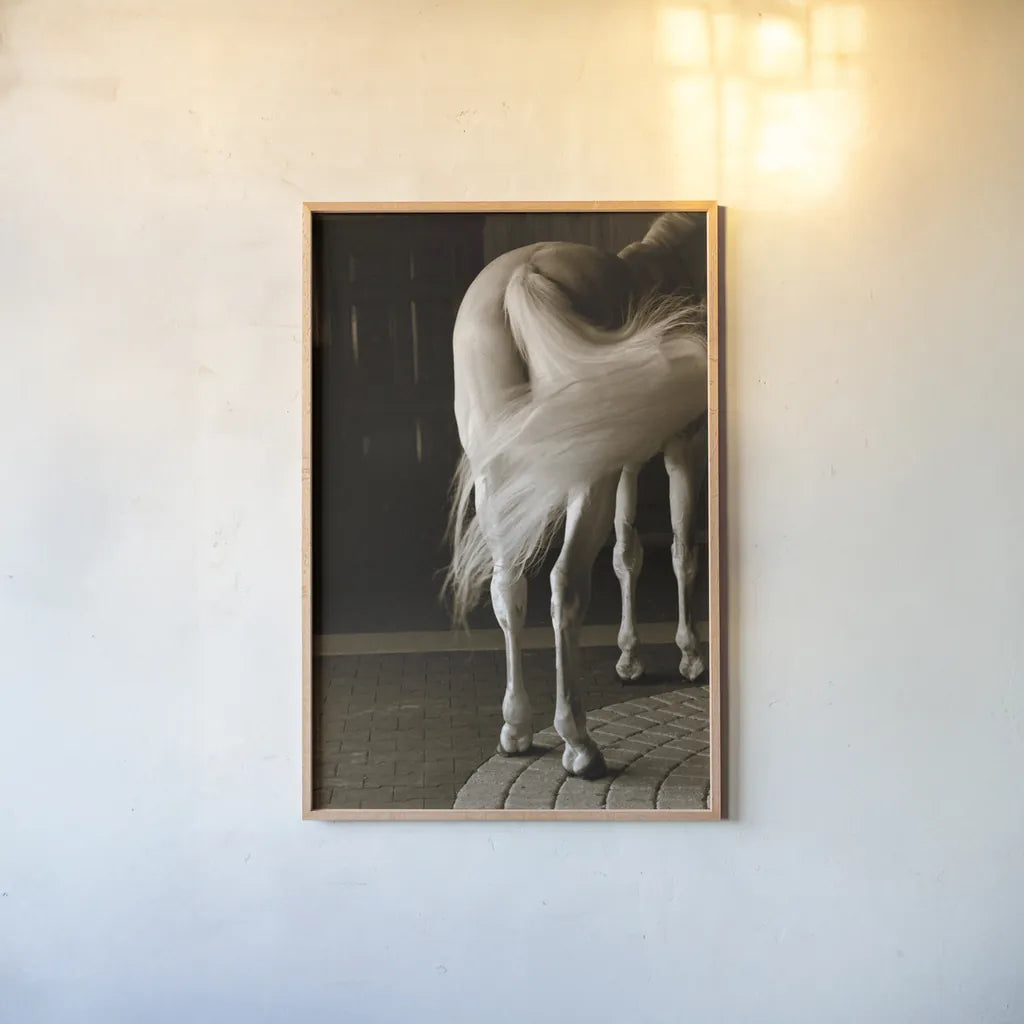 Swoosh by Jim Dratfield. shown as a paper print in a natural frame. Available as a archival giclee rolled canvas, fine art paper, or poster print. SKU 25473h.