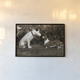 Want to Play by Jim Dratfield. shown as a paper print in a black flame. Available as a archival giclee rolled canvas, fine art paper, or poster print. SKU 25491i.