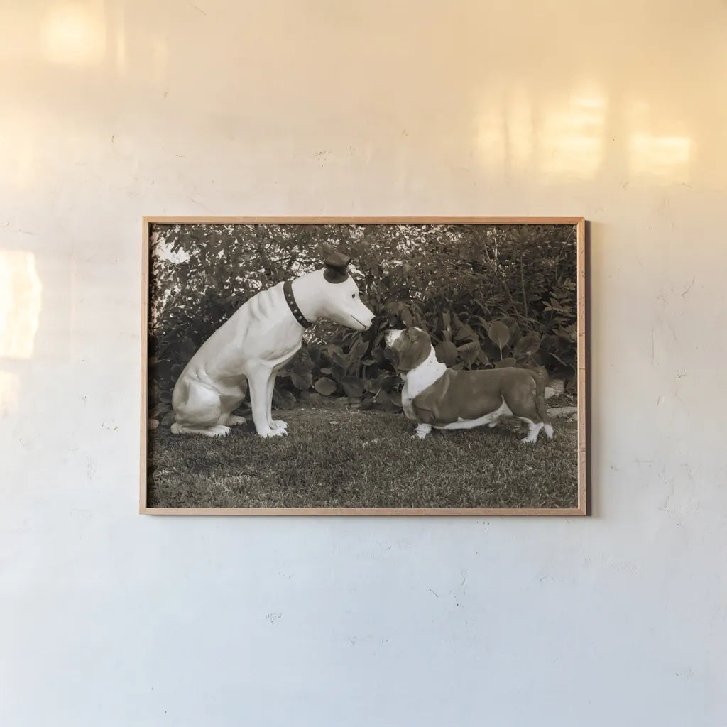 Want to Play by Jim Dratfield. shown as a paper print in a natural frame. Available as a archival giclee rolled canvas, fine art paper, or poster print. SKU 25491i.