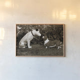Want to Play by Jim Dratfield. shown as a paper print in a natural frame. Available as a archival giclee rolled canvas, fine art paper, or poster print. SKU 25491i.